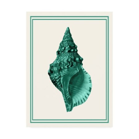 Trademark Fine Art Fab Funky 'Mixed Nautical Green On Cream A' Canvas Art, 14x19 WAG12638-C1419GG